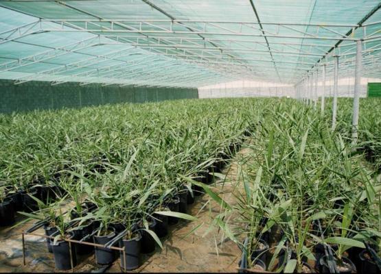 CDPD ចាប់ផ្តេីមប្រកាសលក់សាខាតាមខេត្តទៅទាំង២៤ខេត្ត